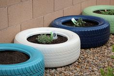 tire planters photos