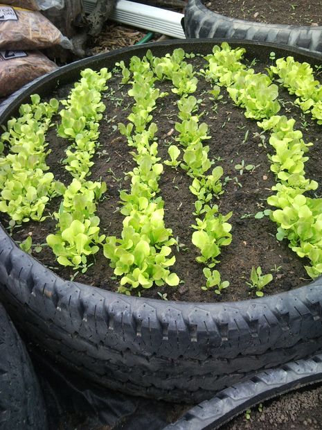 Tire Garden Beds