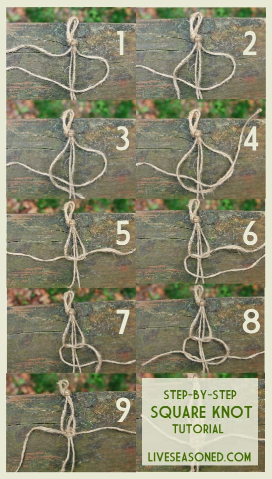 Macramé plant hanger with knotted cords holding a potted plant